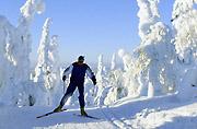 Катание на равнинных лыжах