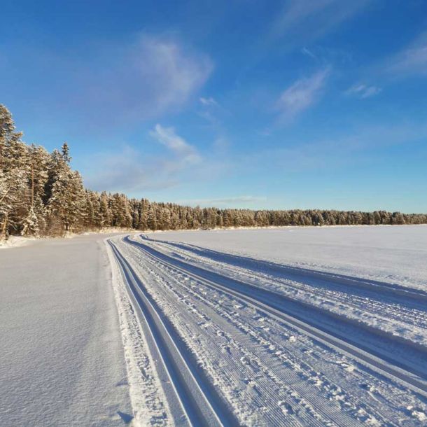 Cross-Country Skiing